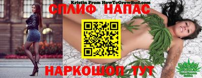 мет Будённовск