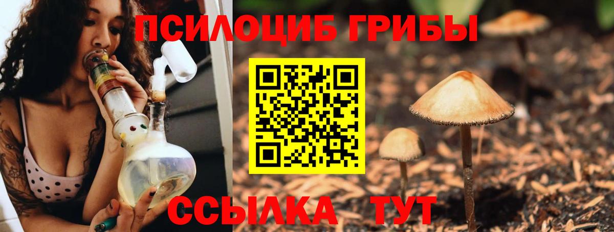 Галлюциногенные грибы Psilocybine cubensis  Вход с VPN  Прокопьевск  Галлюциногенные грибы Magic Shrooms 